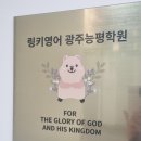 링키영어광주능평학원
