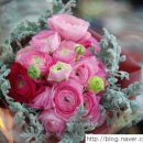 프렌치 스타일 유러피안 꽃다발 이미지