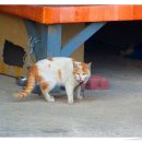 죽계마을회관 이미지