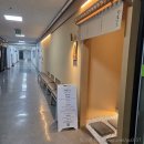 오마카세스시이찌 | 목동 오목교 가성비 스시 오마카세 스시이찌 주말 런치 후기, 가격 업데이트