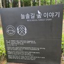 늘솔길근린공원양떼목장 | 인천 가볼만한곳 늘솔길 근린공원 양떼목장 (+먹이주기, 메타세콰이아숲, 수련원)