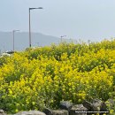 JC공원 화장실 이미지