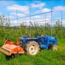 영천농장 이미지