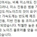 진동미소
