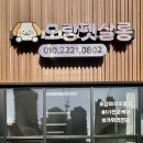 지나펫살롱 이미지