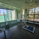 월드피아 이미지