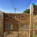 선스페이스 이미지