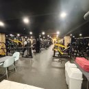 비비휘트니스 이미지