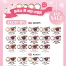 렌즈베리 이미지