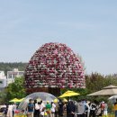 함평엑스포공원 이미지