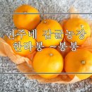 현주네과일 - 중랑구 중랑역로 43 | 현주네과일