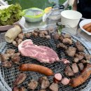 리틀미코노스7 네이버블로그
