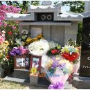 (재)갑산공원묘원 이미지