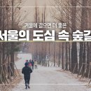 도심속 숲길 이미지