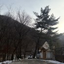 G3-1 | [강원도/평창] 5성급 캠핑장이라는 라플란드 G3 글램핑 후기