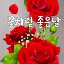 행복한날 Daum카페