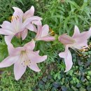 초민의원 이미지