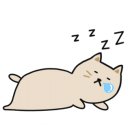 뉴본의원 이미지