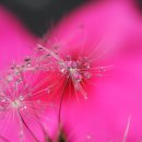 소소한풍경 이미지