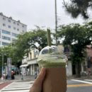 하지몰 이미지