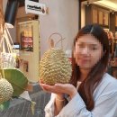 대포야시장족발 | 홈 쿠킹클래스, 반캉왓예술마을, 님만해민구경, 까이양청더이(로스트치킨), 야시장구경, 마사지샵 추천