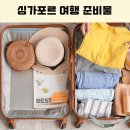싱가포르 여행 준비물 총정리 날씨 화폐 비행시간 콘센트 전자담배 주의사항까지