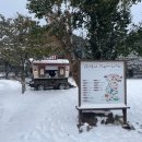 5197 | [제주 1일차] 제주 조천 카페 말로 길갈팜랜드 내돈내산 방문후기