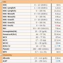 누리종합동물병원 이미지
