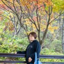 미소와여유펜션민박 이미지