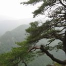 행복한미소약국 이미지