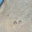 감성커피(충무대로점) | 부산 송도 핸드드립 맛집카페 추천 ☕