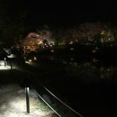 임고초교 이미지