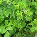 매물도하나민박 이미지