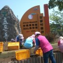 효돈동 주민센터 이미지