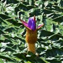 남양산역 이미지