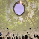 행복드림스 | DDP 디올 전시 '디자이너 오브 드림스' 후기 "작품만큼 멋진 전시관 인테리어"