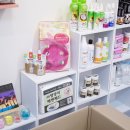 댕댕이 커트방 이미지