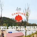 솔향기 캠프 네이버블로그
