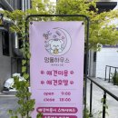 평택애견미용송탄점학원 | 평택 멍풀하우스 🐾 송탄 애견미용 동삭동 애견호텔 추천