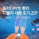 디플리 새론 론핀 후기 : 프리다이빙 초보의 첫 유리섬유 롱핀 구매 리뷰