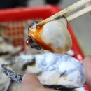 동부수산 - 거제시 거제중앙로16길 12 | 동부수산