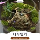 상동고등학교 | [부개역] 부천 공방 나무일기 테라리움 원데이 클래스 체험 후기