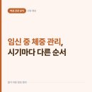 대상중기 | 임신 중 체중 관리는 초기·중기·후기 순서가 다르다, 단계별로 짚어보면