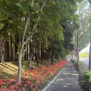 걷기지도사(야간) 이미지