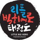 리틀빅히어로태권도장 이미지