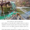 경주 안계저수지 교량 콘크리트 타설 중 붕괴…2명 사망(종합2보) 이미지