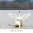 더(the)풍경 이미지