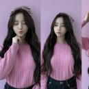 태양노래클럽 이미지