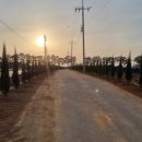 상옥농장2 이미지