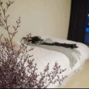 센텀 스테이 이미지